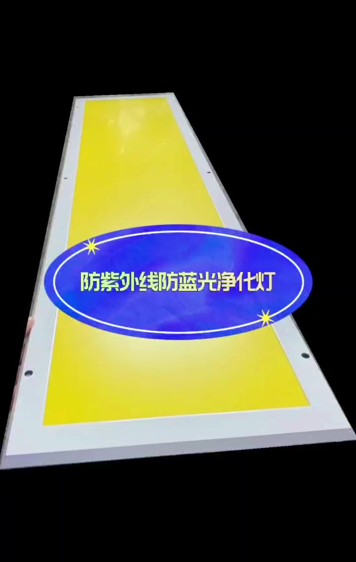 杺辉-食品厂照明平板灯-厂家