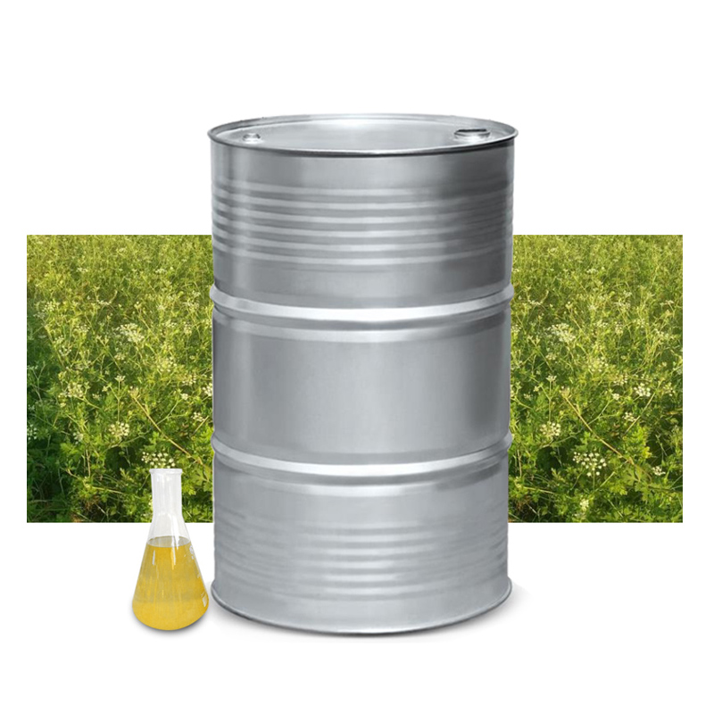 供应 代加工 可定制 前胡油 香料油 植物精油