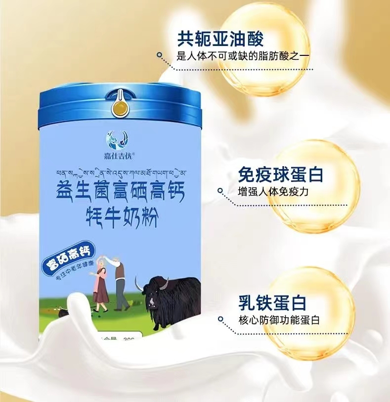 来自中国小西藏的牦牛奶 甘肃藏区的牦牛奶 牦牛奶粉生产