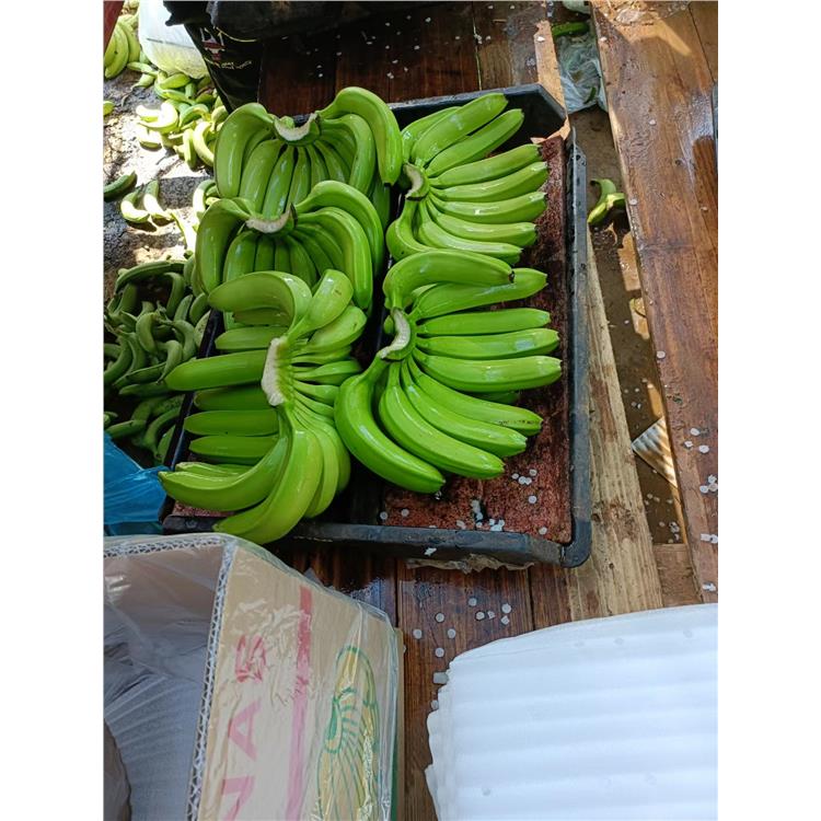 忻州香蕉代办的公司