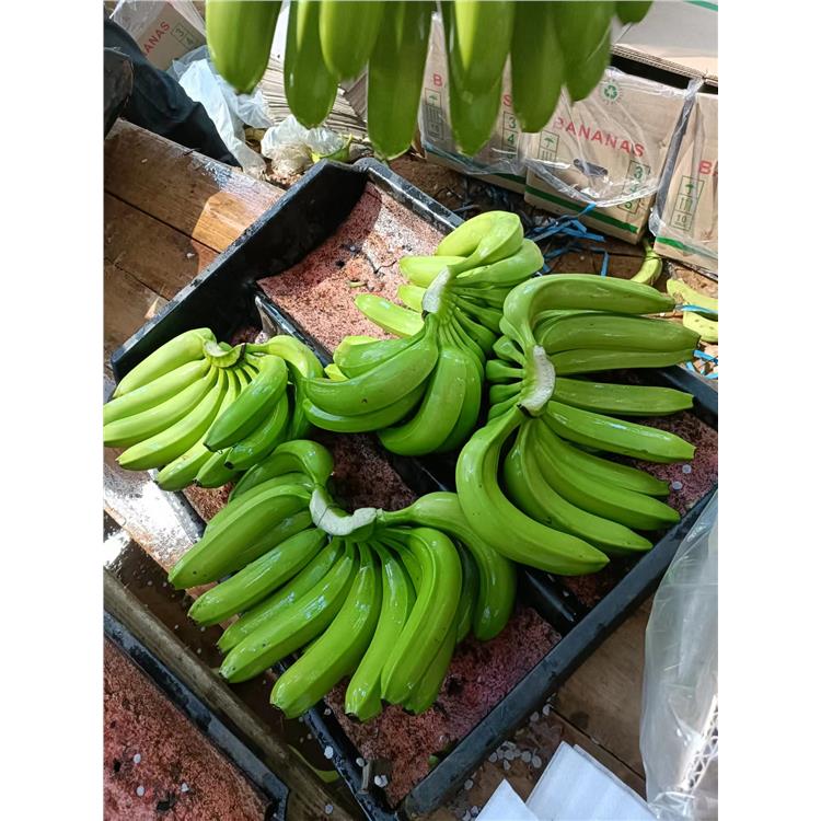晋城代收香蕉的公司 诚信合作