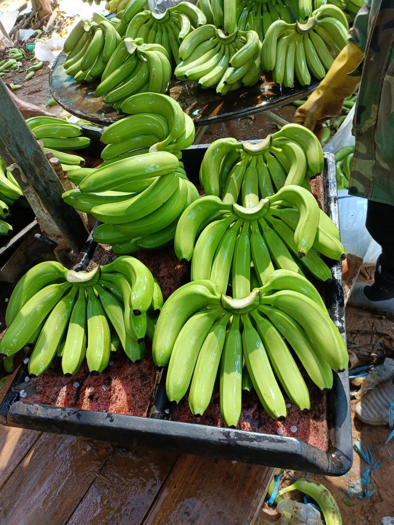 鹤壁香蕉代收的公司