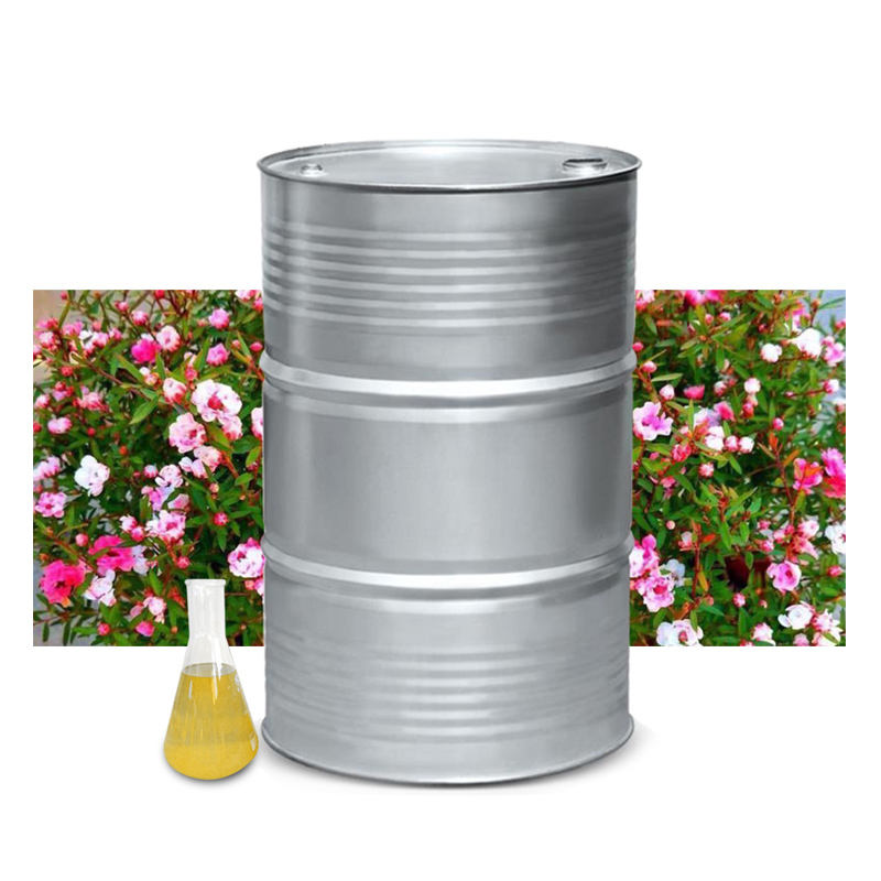 供应 代加工 可定制 松红梅油 香料油 植物精油