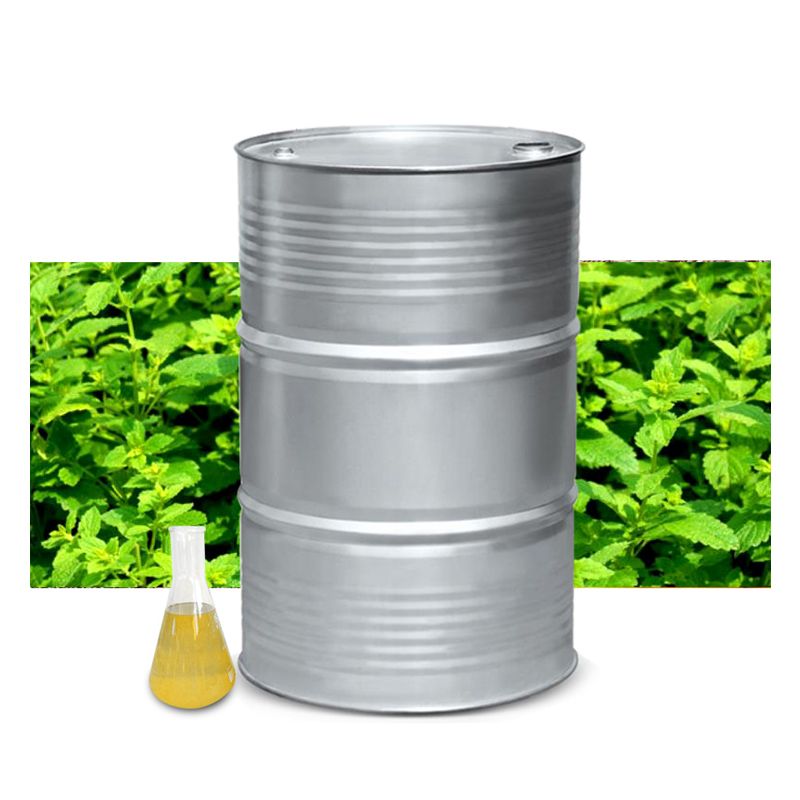 供应 代加工 可定制 香蜂草油 香料油 植物精油