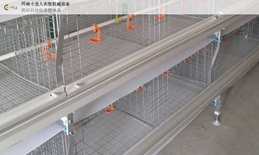 安阳全自动化养鸡设备安装 河南小龙人农牧机械设备供应