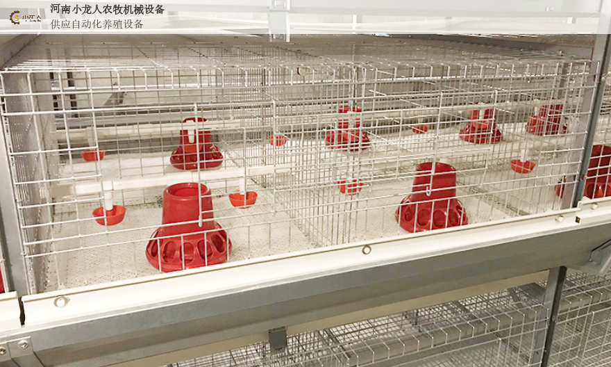 南阳自动化养鸡喂料 河南小龙人农牧机械设备供应