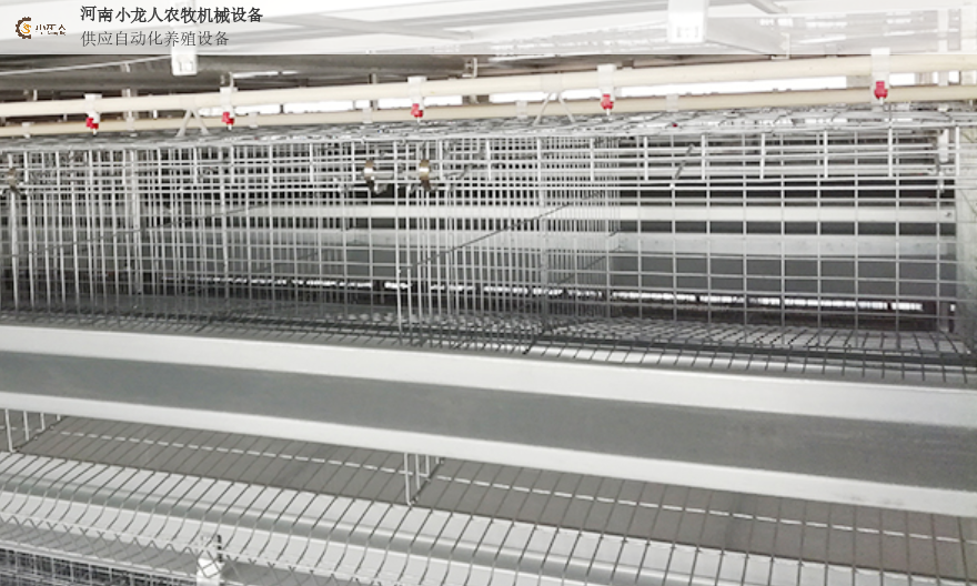 重庆机械自动化养鸡设备视频 河南小龙人农牧机械设备供应