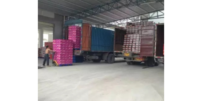 闵行区如何便捷处理越南线 诚信服务 上海沃世国际货运代理供应
