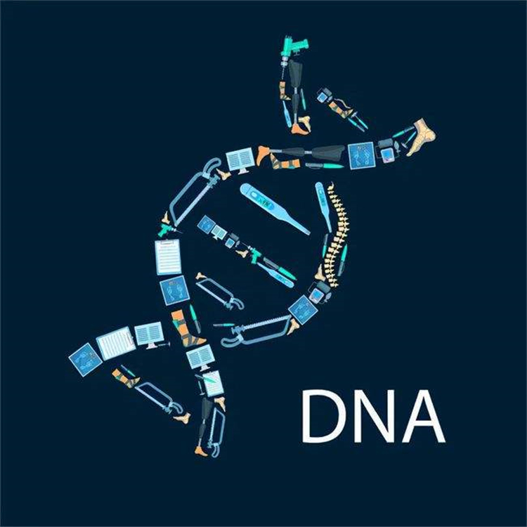 广州从化区亲子鉴定DNA检测机构