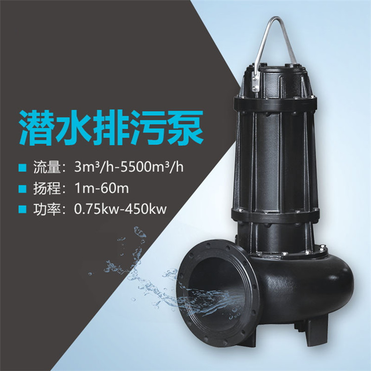 天津潜水排污泵-潜水污水泵-型号齐全-诚信经营品质**