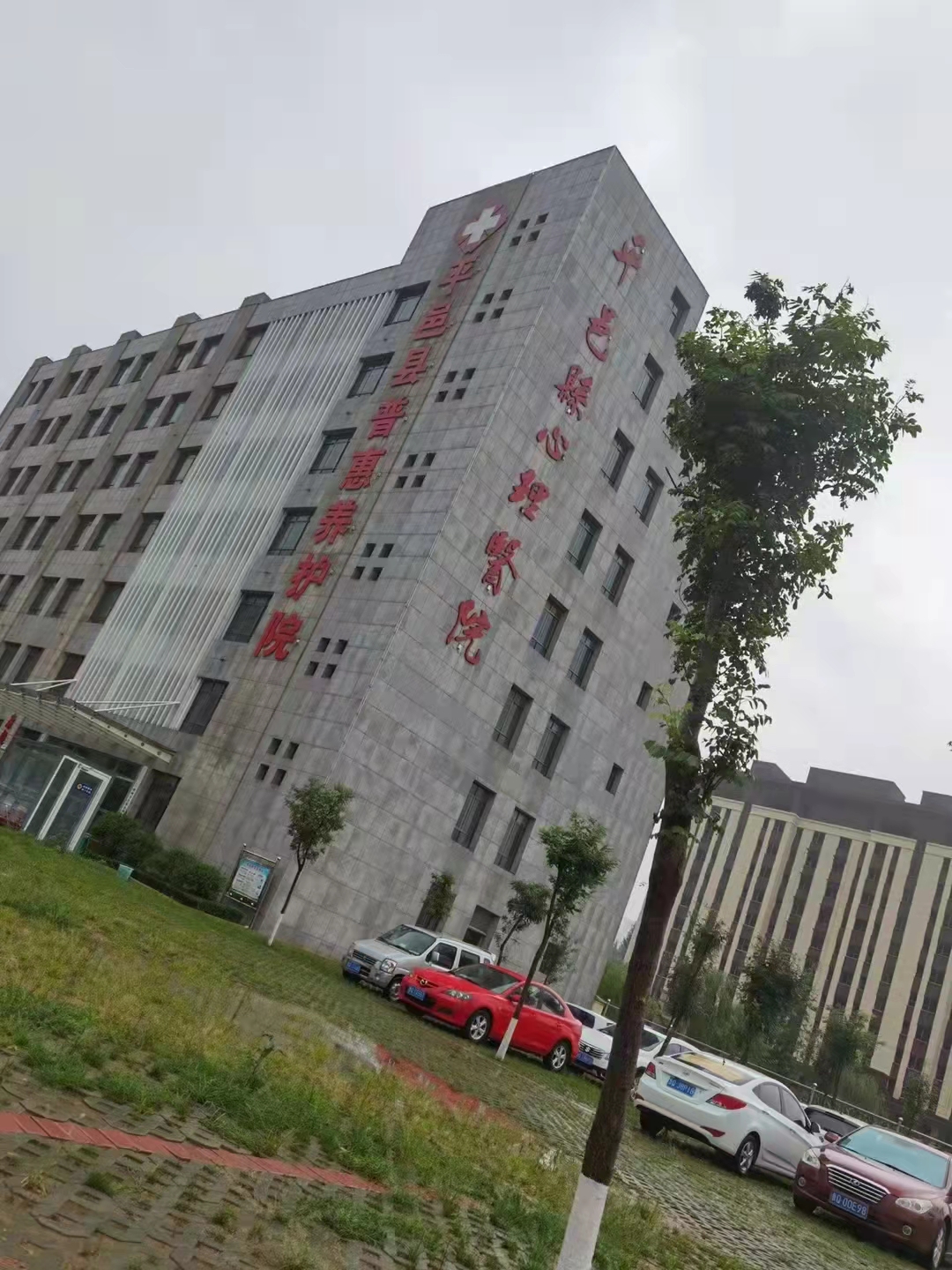 忻州中医定向透药仪厂家 离子导入 透皮给药