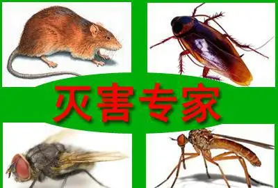 虹口杀虫除四害-有害生物防治-灭害虫-上海金缘环保科技有限公司