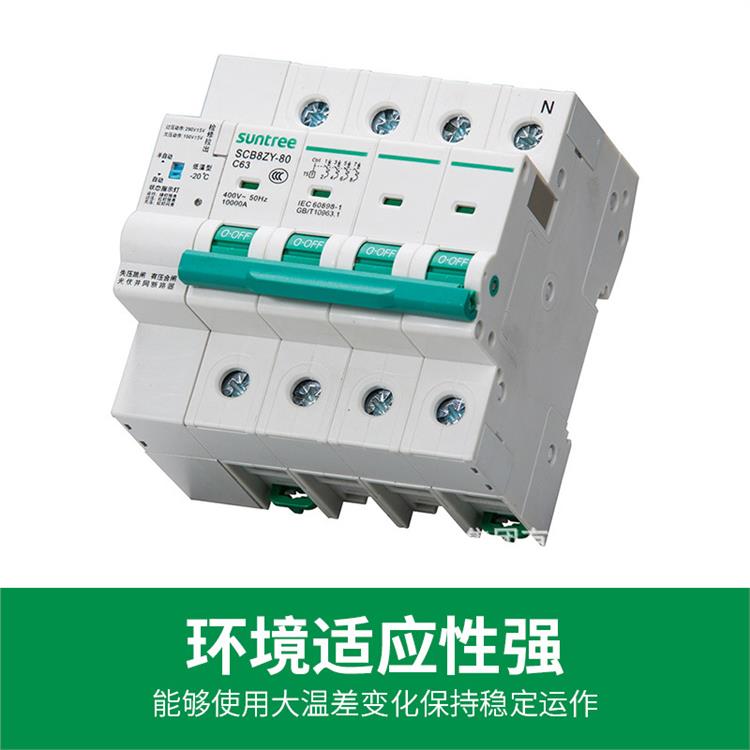 湖南新驰电气集团SCB8ZY-80 80A小型重合闸 品质材料 支持定制