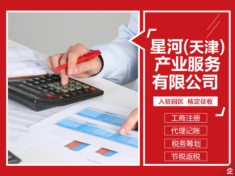 天津开发区企业财务审计代理服务