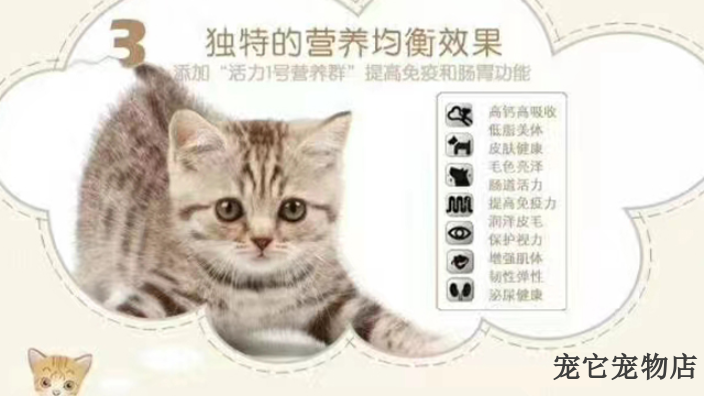 常德磨牙补钙猫粮零食营养品批发商 诚信为本 宠它宠物用品供应