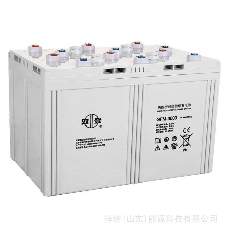 双登蓄电池GFM-3000 2V3000AH铅酸免维护通信基站储能