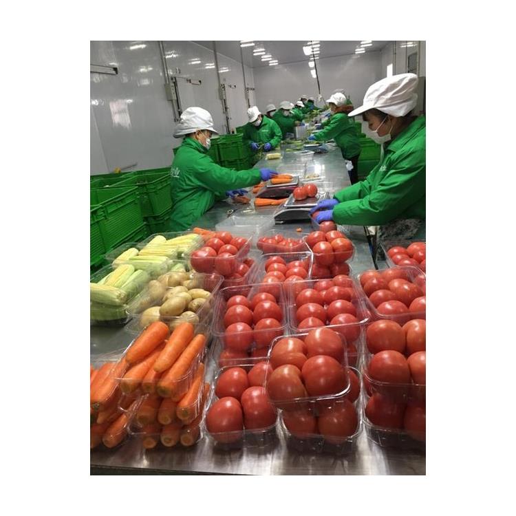 龙门蔬菜批发食材配送公司价格 提供新鲜平价_食堂配送蔬菜服务