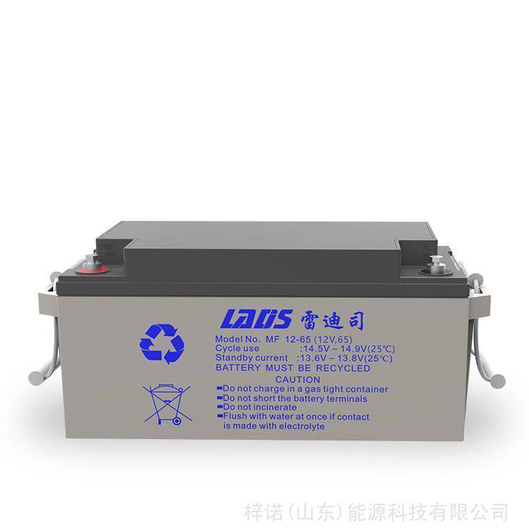 雷迪司铅酸蓄电池MF12-65免维护12V65AH UPS/EPS电源光伏