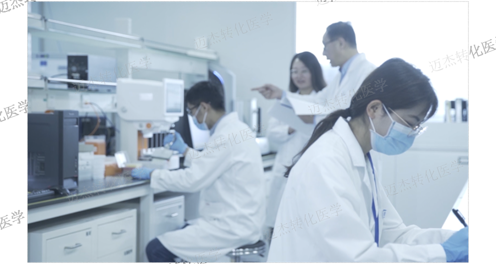 广东专注Claudin18.2抗体检测试剂经验丰富 值得信赖 迈杰转化医学供应