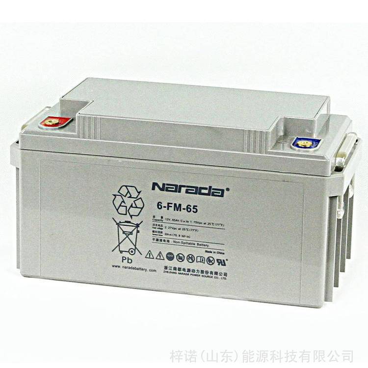 南都铅酸免维护蓄电池12V65AH 6-FM-65 UPS/EPS电源直流屏机房