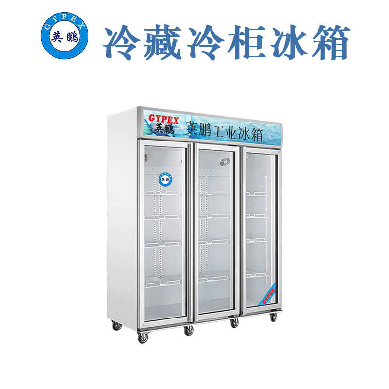 陽江冷凍產品冷藏柜