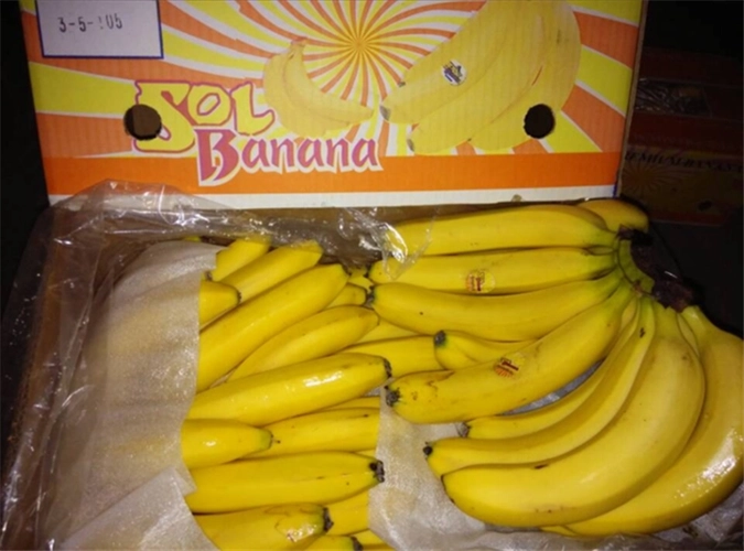 印尼，印度尼西亚进口香蕉清关