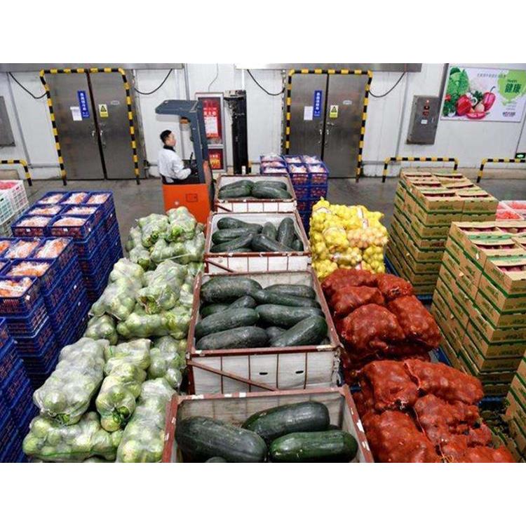 横岗蔬菜批发食材配送公司价格 提供新鲜平价_食堂配送蔬菜服务
