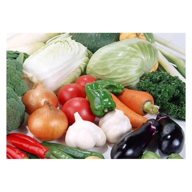 朱村食堂蔬菜配送公司 大型蔬菜配送中心 提供平价新鲜送菜服务