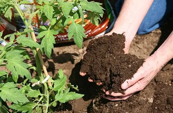 堆肥土壤检测，堆肥土壤第三方检测机构