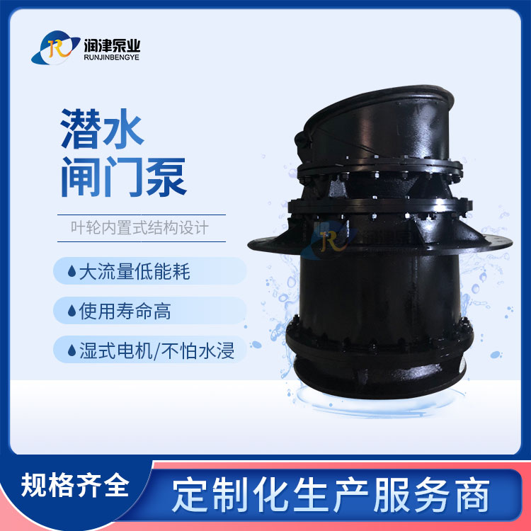 天津润津700HNZP一体化泵闸 泵闸一体机生产厂家