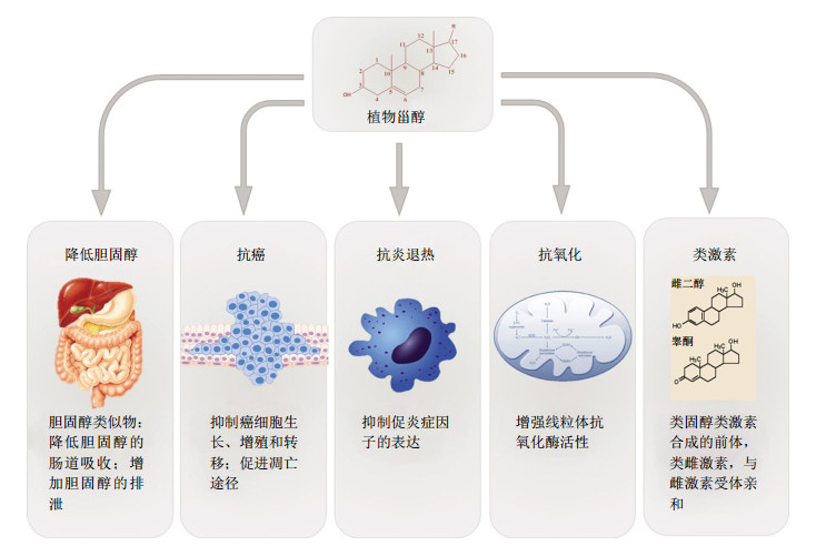 北京木质甾醇-北京单体豆甾醇-格兰尼生物