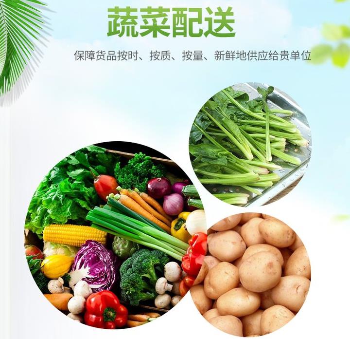 珠海香洲职工饭堂外包蔬菜配送服务公司价格
