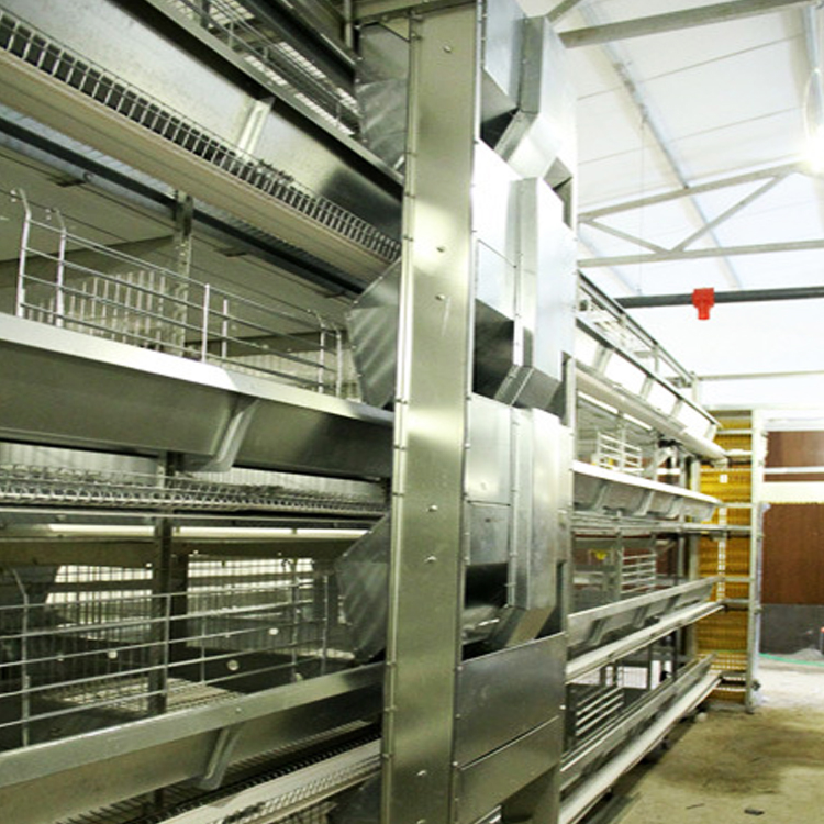 大量生产蛋鸡喂料机 宏伟厂家供应龙门式喂料设备