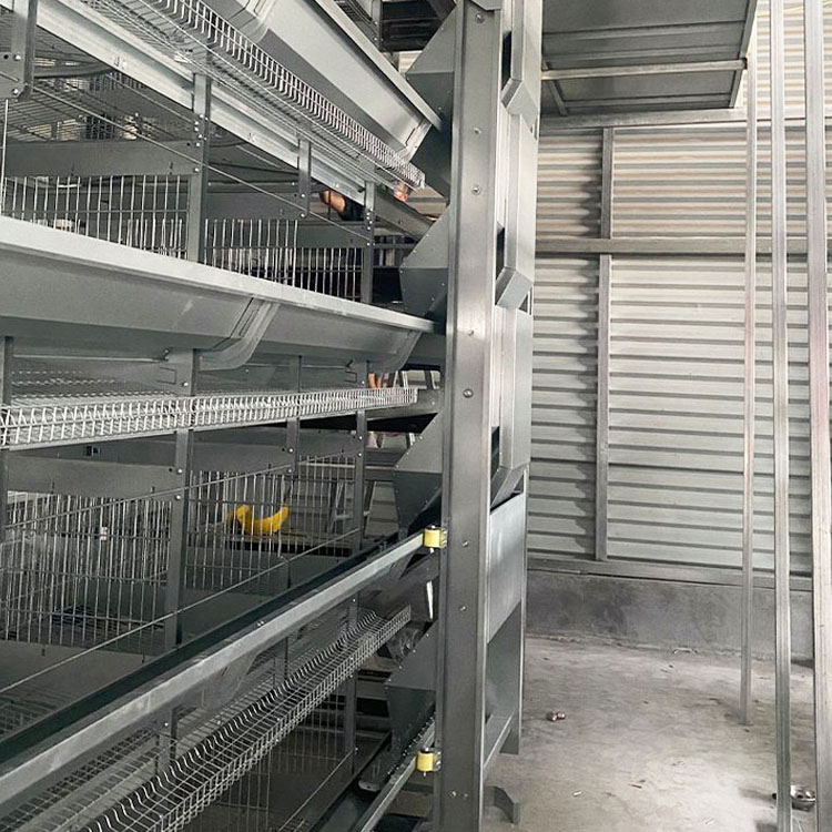 自动化喂料机厂家 层叠式鸡笼喂养设备可行走喂料设备