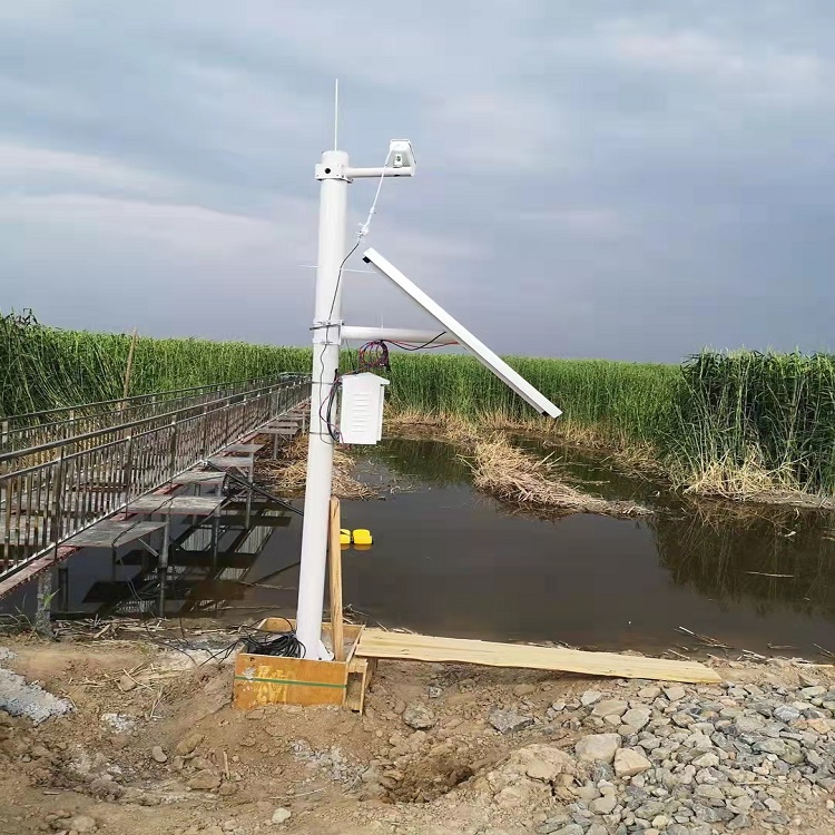 聚一搏立杆式水质自动遥测系统JYB-SZ 鱼塘养殖水环境污染物营养物监测站