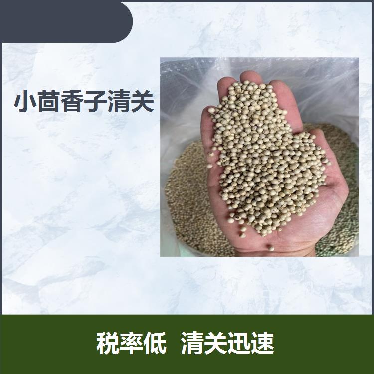 廣州黃埔港小茴香子進口物流 稅率低 清關迅速 減少不必要的風險