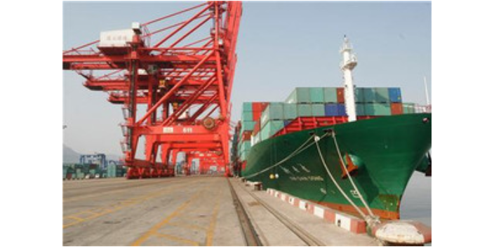上海越南海运出口清关哪家快速 值得信赖 上海沃世国际货运代理供应