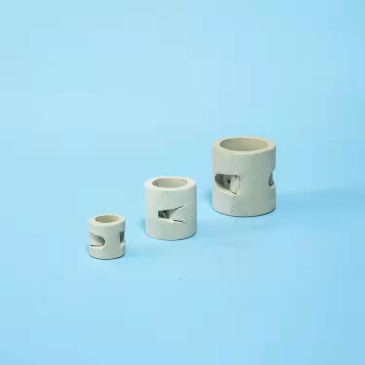 陶瓷散堆填料-鲍尔环
