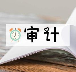 可行性研究报告