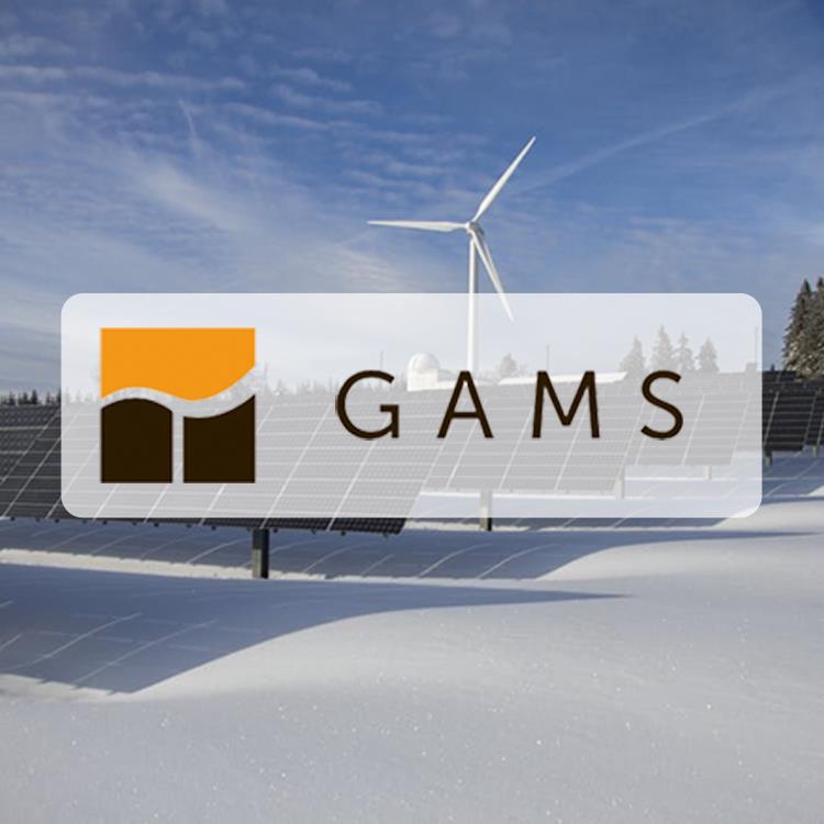 gams软件教程及授权代理_保证正版