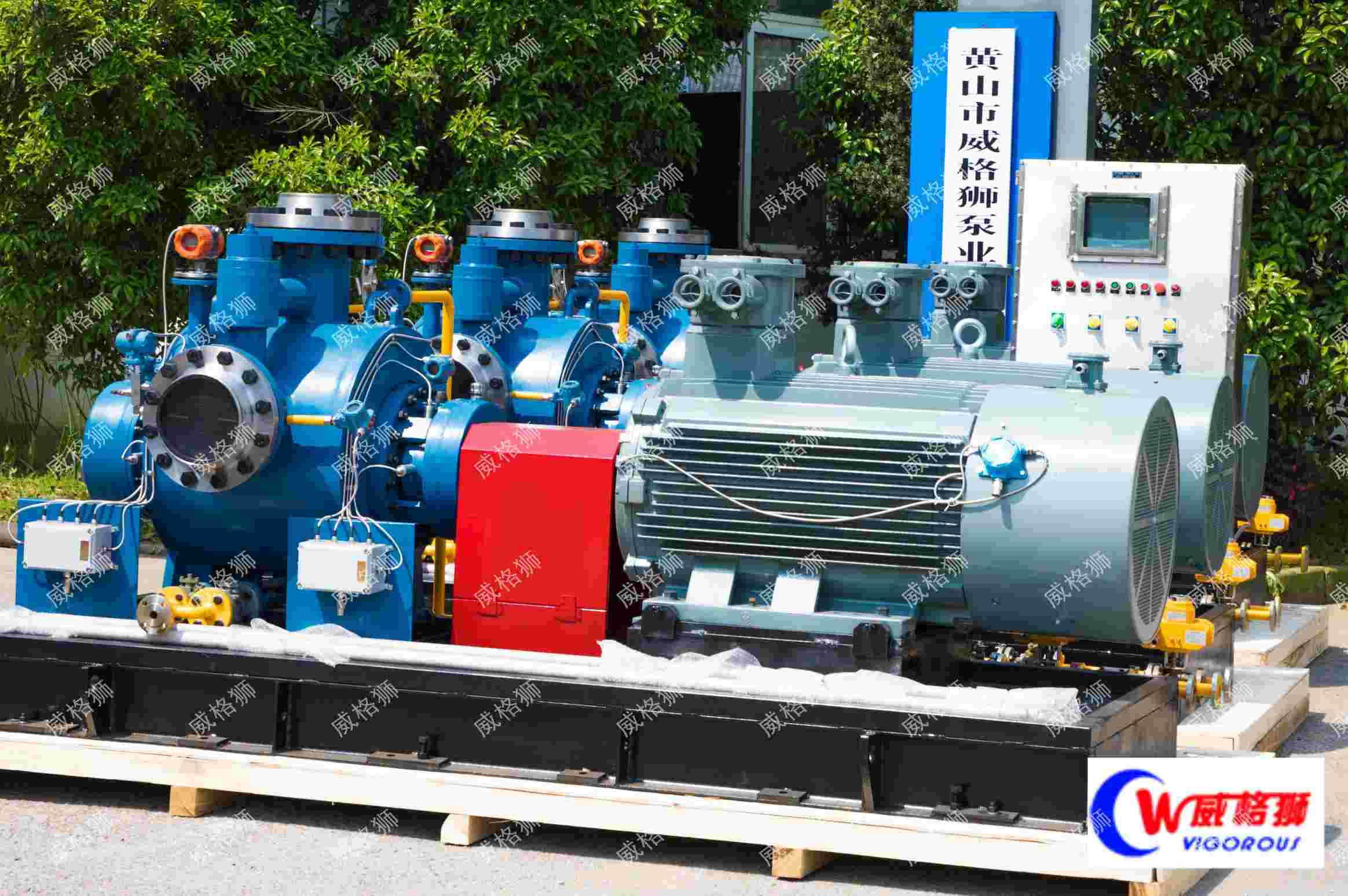 HMWPS200，双螺杆泵，外输泵，油气水混合外输泵
