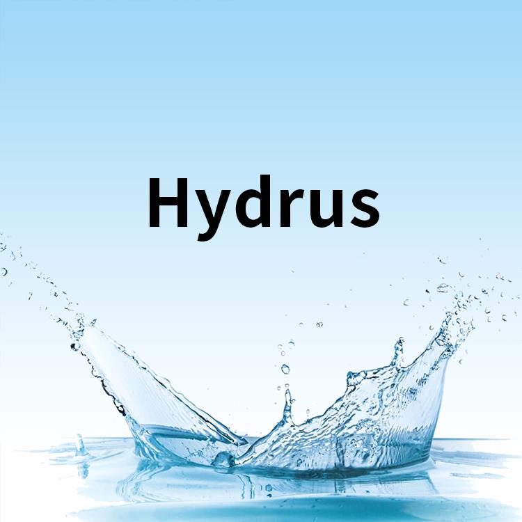 本地化服务_hydrus软件安装教程_hydrus 1d