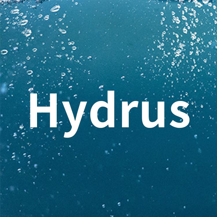 hydrus 1d_hydrus软件学习班
