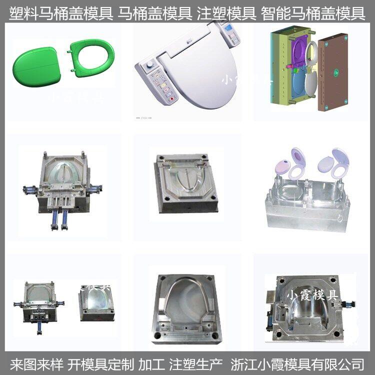 台州注塑模具 马桶盖塑料模具	马桶塑料模具
