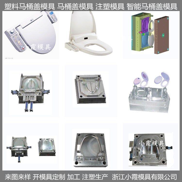 台州注塑模具厂 智能塑料马桶盖塑胶模具