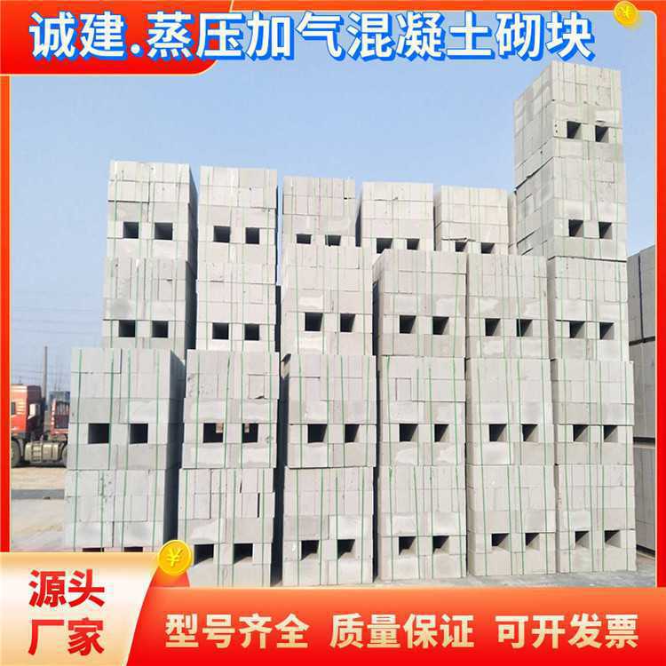高密建筑材料B06加气块 砌块砖供应大厂生产