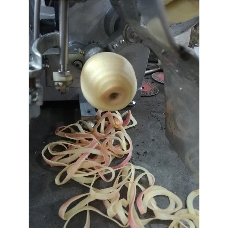 上海桃子削皮机厂家 削皮机自动 应用范围