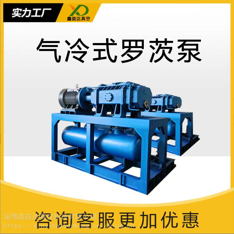 气冷型罗茨真空泵机电设备 旋转式不变容真空泵 电动真空泵
