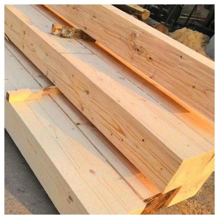上海建筑木方 建筑木方 鐵杉 木材生產基地
