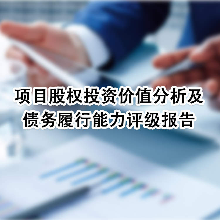 股权估值评估报告-汇智桥数据
